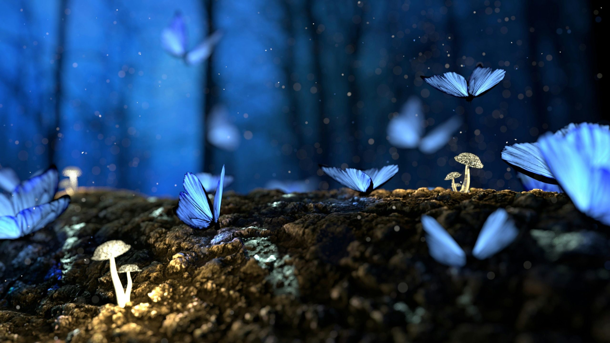 Graphic of butterflies on a Blue night